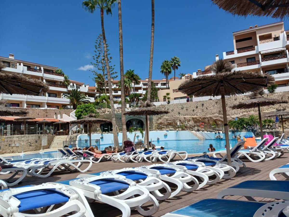 Chillout Studio Albatros In Toller Anlage Mit Pool Σαν Μιγκέλ ντε Αμπόνα Εξωτερικό φωτογραφία