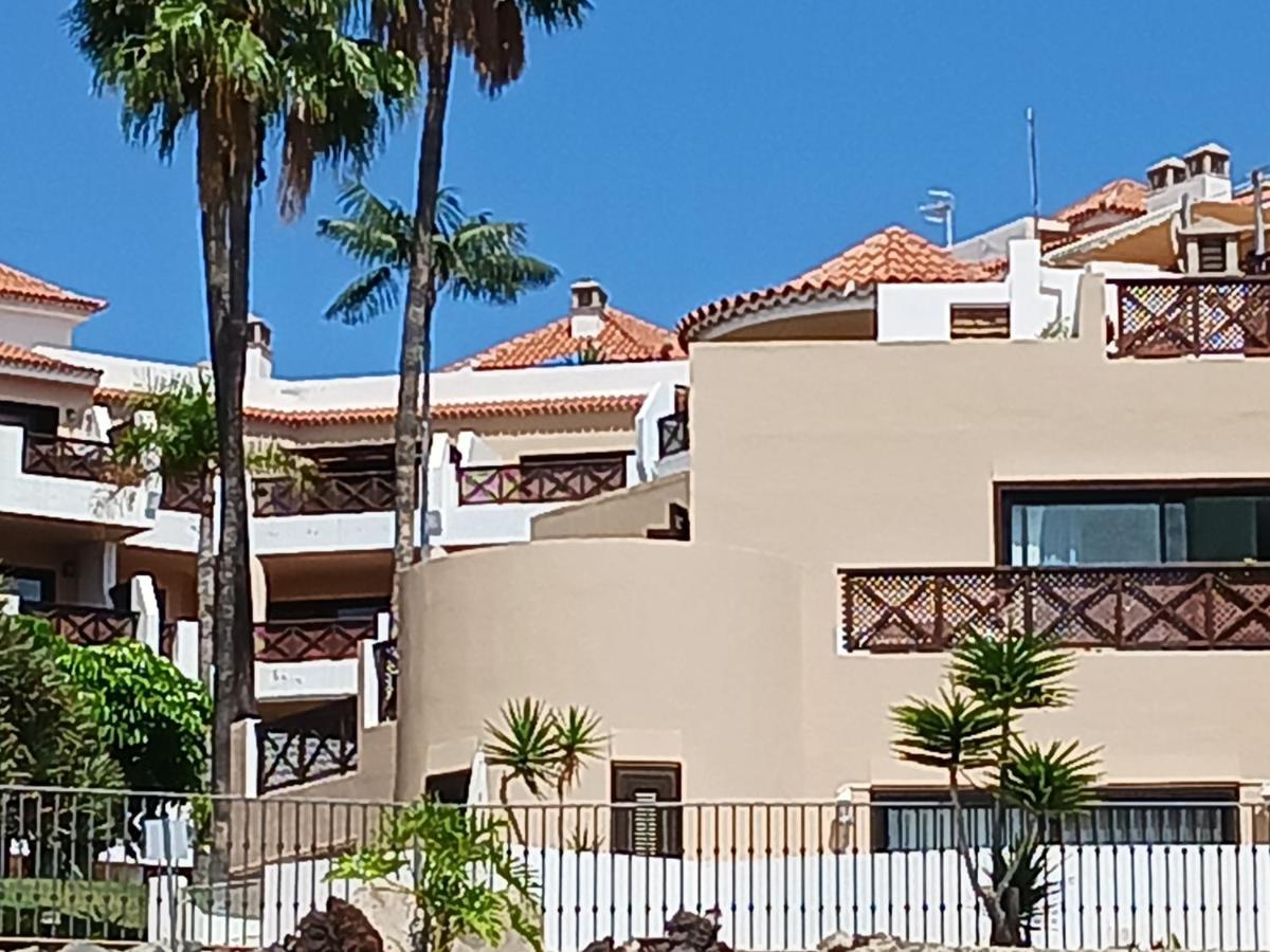 Chillout Studio Albatros In Toller Anlage Mit Pool Σαν Μιγκέλ ντε Αμπόνα Εξωτερικό φωτογραφία