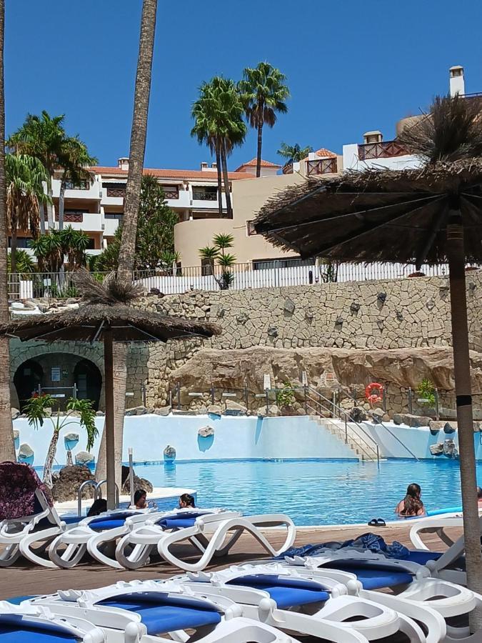Chillout Studio Albatros In Toller Anlage Mit Pool Σαν Μιγκέλ ντε Αμπόνα Εξωτερικό φωτογραφία